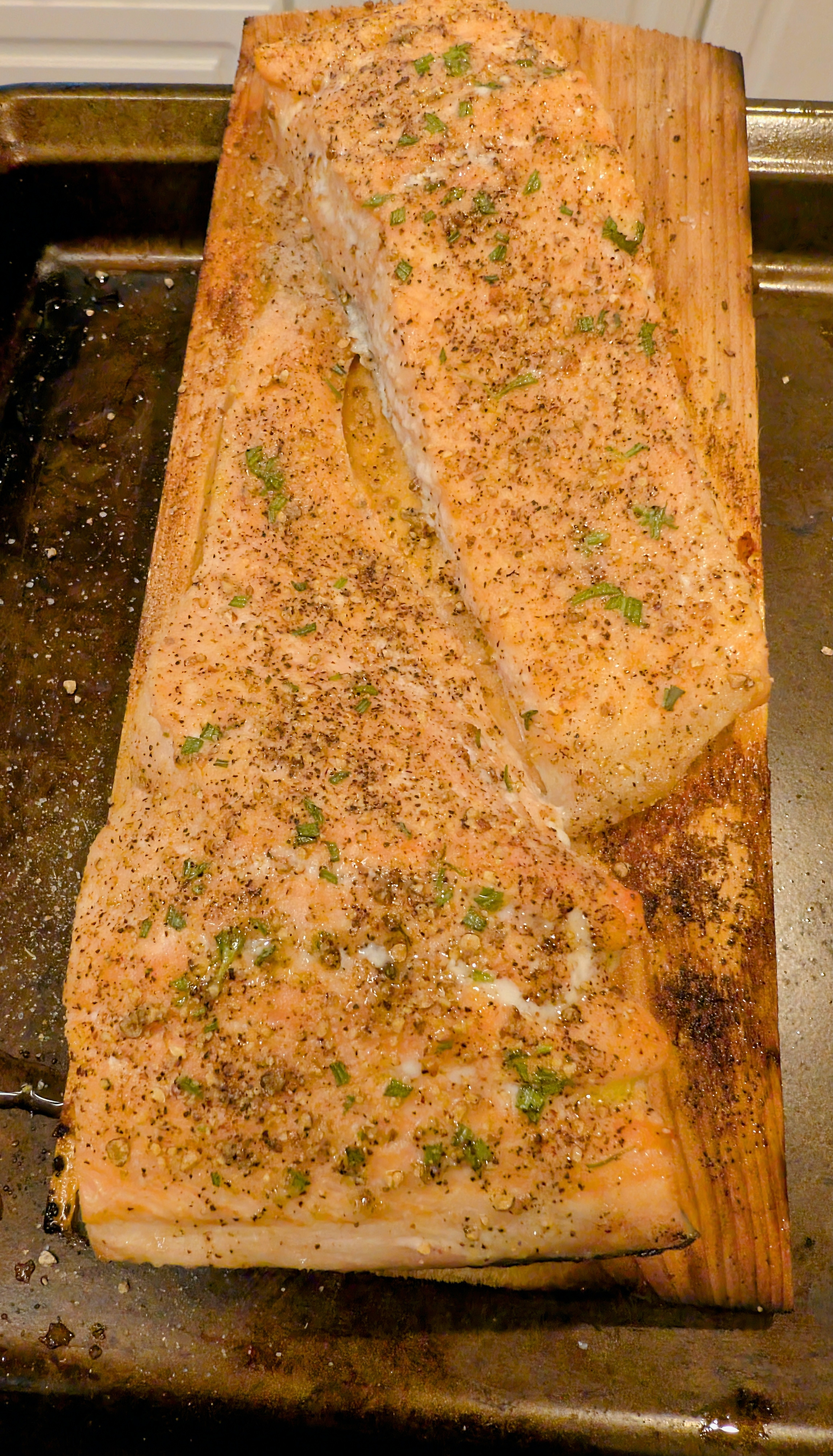 Salmon